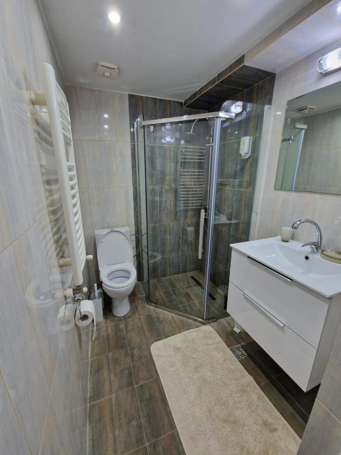Agatha'S Apartment Sibiu Luaran gambar